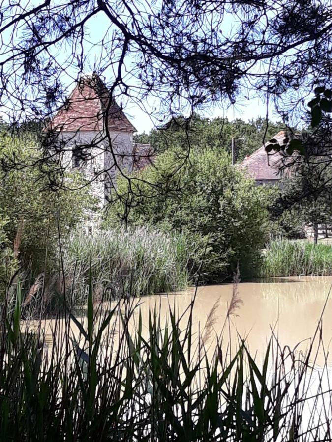 Le Manoir De Pierre Levee, The Originals Collection Hotell Tournon-Saint-Martin Eksteriør bilde