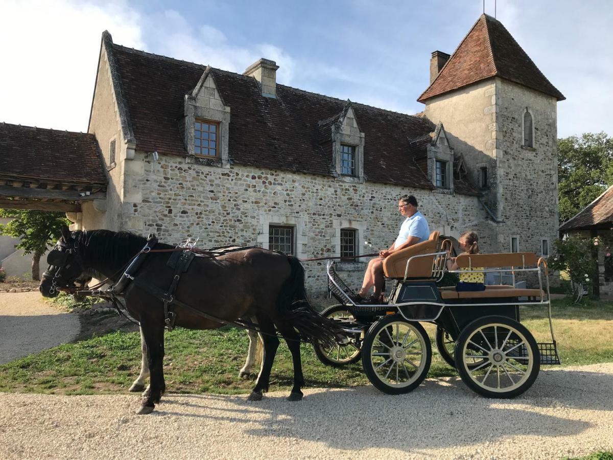 Le Manoir De Pierre Levee, The Originals Collection Hotell Tournon-Saint-Martin Eksteriør bilde